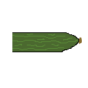 cucumber1