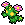 maractus 556