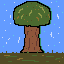 oak tree