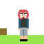 minecraft girl