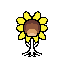 tournesol