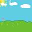 sunny