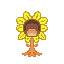 tournesol