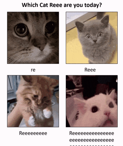which cat reee are you today