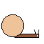 snail