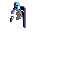 swat