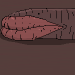 the magnificent lipworm