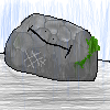 roch the rock