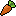 carrot