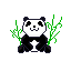 panda