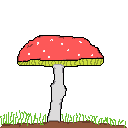 123
