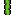 snake_forward