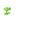 popa