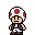 toad