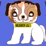 perrito