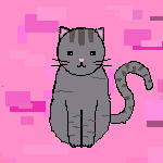 pusheen cat