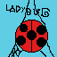 ladybug