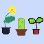 plantas