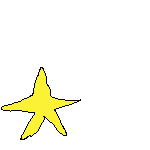 estrella