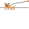 perrito