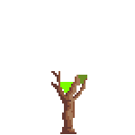 arbol