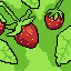 strawberry lifs 2 the good one