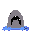 shark