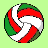 pilota volei