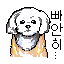 Sprite #254579