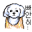 Sprite #254580