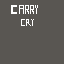 carrycry