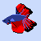 betta fish