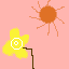 sun flower and the sun