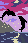 two jumping dolphins
