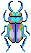 cute beetle