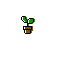 planta