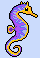 cute seahorse