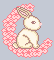 cute bunny