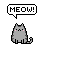 adorable cat