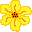 sunflower i tried my best