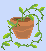 cute plants