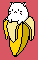cat banana