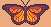 sunset butterfly