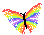 rainbow butterfly