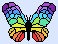beautiful rainbow butterfly