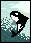 orca