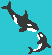 mom and baby orca