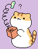 cute kitty
