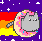 nyan donut cat again