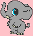 cute baby elephant